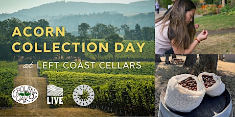 Acorn Collection Day at Left Coast Cellars primary image