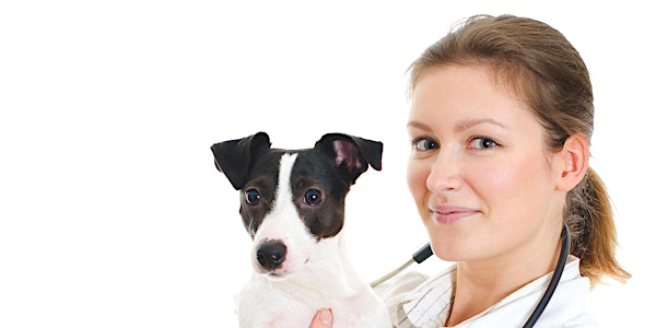 Introduction to the UK veterinary professions - a key CPD course for overseas vets and VNs