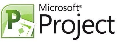 Microsoft Project Level 2