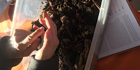 Learn How to Compost For Teachers primary image
