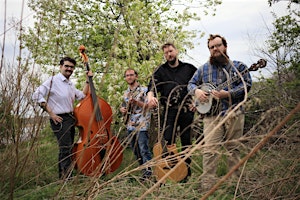 Hauptbild für Hollow Turtles - Live Acoustic Folk/Bluegrass