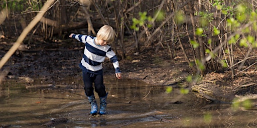 Primaire afbeelding van 2024-25 Forest Preschool & Kindergarten SATURDAY Tour