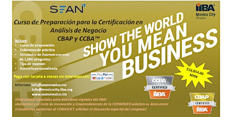 Imagen principal de Curso de Preparación para la Certificación en Análisis de Negocio CBAP/CCBA