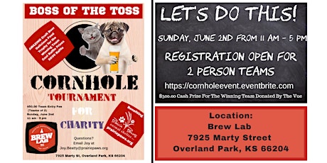 Boss of the Toss Cornhole Tournament Fundraiser for Prairie Paws Animal Shelter  primary image