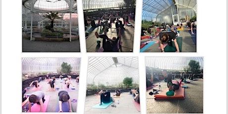 Pilates at the Heated Kibble Palace
