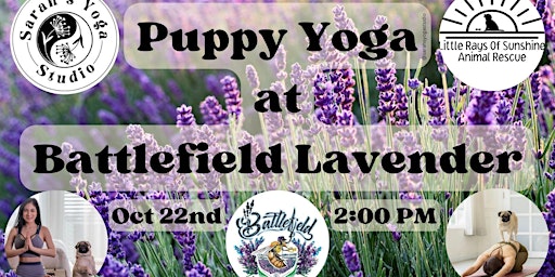Puppy Yoga at Battlefield Lavender primary image