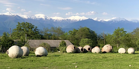 Primaire afbeelding van Georgian Wine & Food Tour