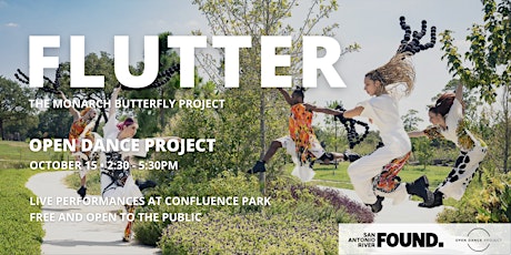 Flutter: The Monarch Butterfly Project primary image