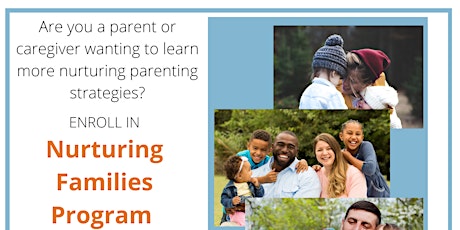 Imagem principal de Virtual Nurturing Families Program