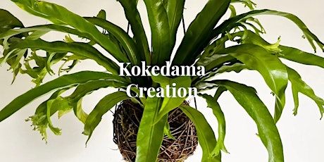 DIY Kokedama primary image