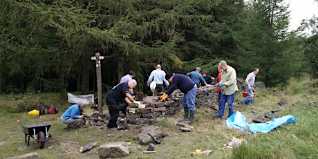A TASTER DAY IN THE HISTORIC ART OF DRYSTONE WALLING - 04TH MAY 2019 primary image