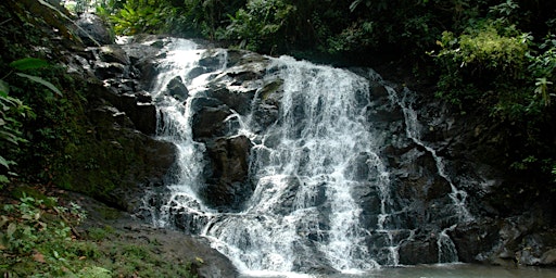 Hauptbild für Let Your Heart Decide Retreat | Costa Rica