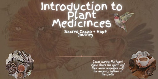 Imagem principal do evento Introduction to Plant Medicines: A Cacao and Hapé Journey