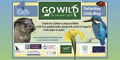Go Wild in Galway - 25th May 2019 primary image