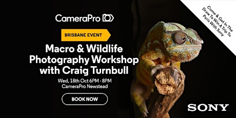 Macro & Wildlife Photography Workshop with Craig Turnbull and Sony primary image
