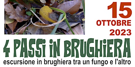 Hauptbild für 4 PASSI IN BRUGHIERA... TRA UN FUNGO E L'ALTRO