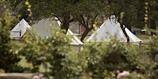 Image principale de 2026 Camping + Weekend ticket - Borris House Festival of Writing and Ideas