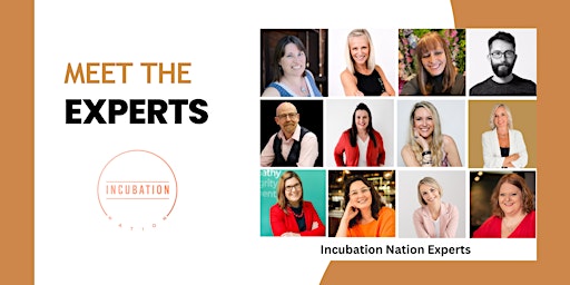 Meet the Experts - Incubation Nation primary image
