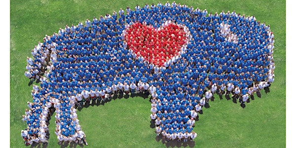 Human BuffaLove #6