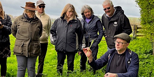 Primaire afbeelding van Foraging with Fred Gillam