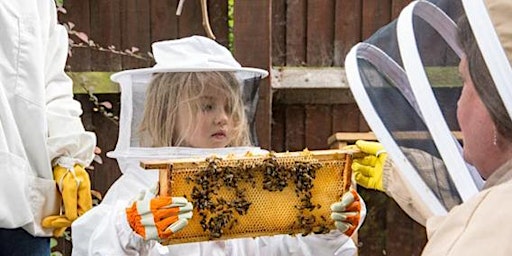Bees for Children  primärbild