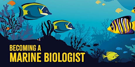 Becoming a Marine Biologist:  What It Takes, and Where It Can Take You primary image