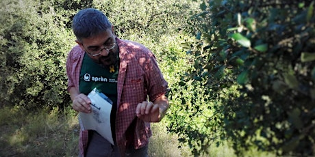 Primaire afbeelding van Festival ForadCamp - Excursió pel Parc Natural del Montseny