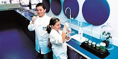 Scitech PL: Open Lab at Honeywood Primary School primary image