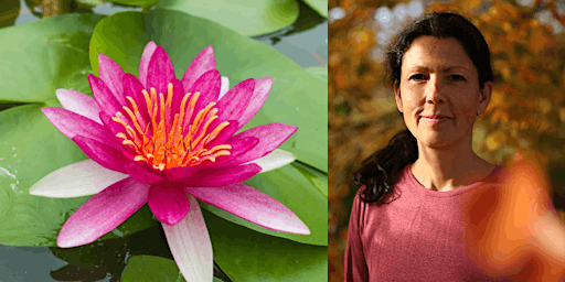 A day of practice in the Insight meditation tradition with Jaya Rudgard  primärbild