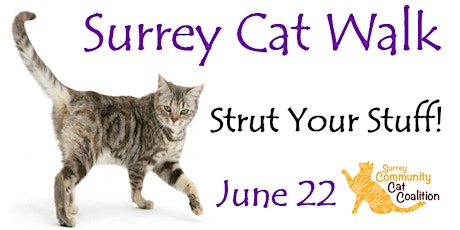 Surrey Cat Walk: Strut Your Stuff! primary image