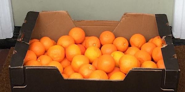 Introduction to Making Marmalade