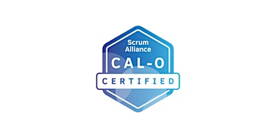 Certified Agile Leadership for Organizations (CAL-O) with Judy & Lonnie primary image