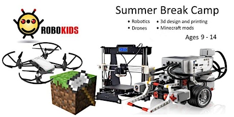 (Ages 9-14)  Whole day Summer camp: Ev3 Robotics, Minecraft, Drones, and 3D Design primary image