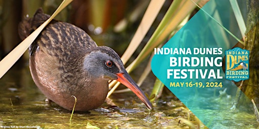 Imagem principal do evento Indiana Dunes Birding Festival 2024