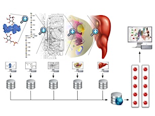SupraBiology: Supercomputing for Systems Biology primary image