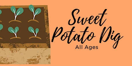 Hauptbild für Sweet Potato Dig [All Ages]