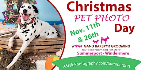 Image principale de Christmas Pet Photo Day Woof Gang Bakery Summerport-Winderemere