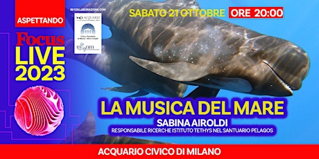 Primaire afbeelding van ASPETTANDO FOCUS LIVE - LA MUSICA DEL MARE