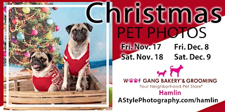 Imagen principal de Christmas Pet Photo Day Woof Gang Bakery Hamlin