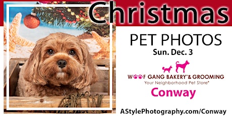 Primaire afbeelding van Christmas Pet Photo Day Woof Gang Bakery Conway