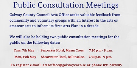 Galway County Arts Plan Public Consultation primary image