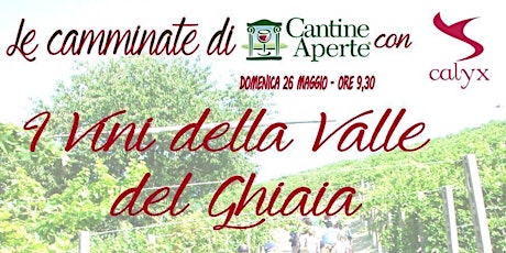 Immagine principale di Le camminate di Cantine Aperte - I Vini della Valle del Ghiaia 