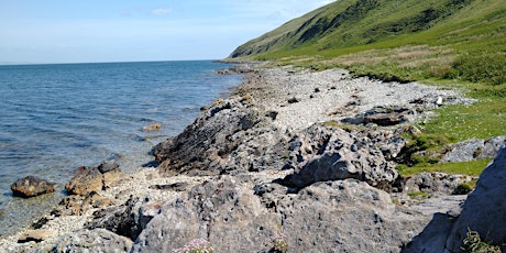 Immagine principale di Gaelic Landscape Walk - North Sannox Coast 