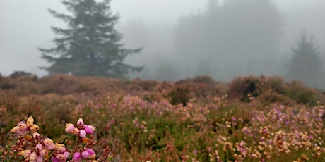 Hauptbild für Gaelic Landscape Walk - Clauchland Hills