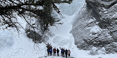Frozen  Hidden falls at Heart creek (2BS) Bow Valley primary image