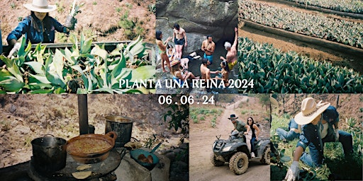 Planta Una Reina 2024: The World's Top Chefs & Bartenders (3 Nights 4 Days) primary image