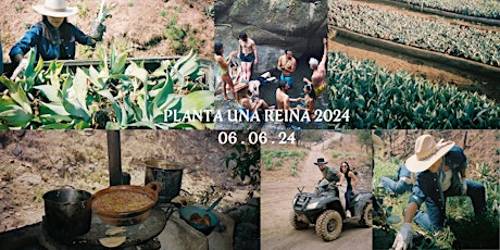 Planta Una Reina 2024: The World's Top Chefs & Bartenders (3 Nights 4 Days)