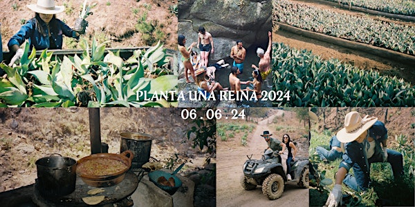 Planta Una Reina 2024: The World's Top Chefs & Bartenders (3 Nights 4 Days)