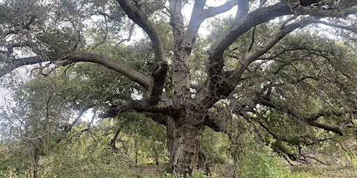 Hauptbild für Join Our Team of Oak Caregivers - Orientation Day