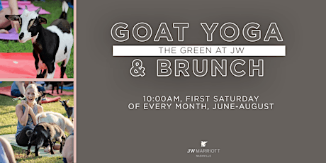 Goat Yoga & Brunch primary image